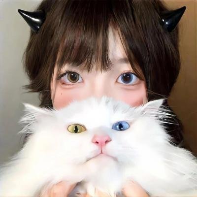 哈莉·奎茵第三季